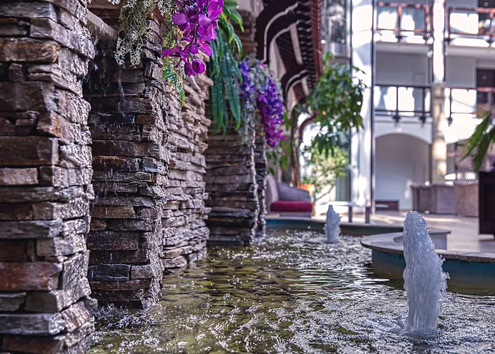 Mpm ギネス 4* バンスコ